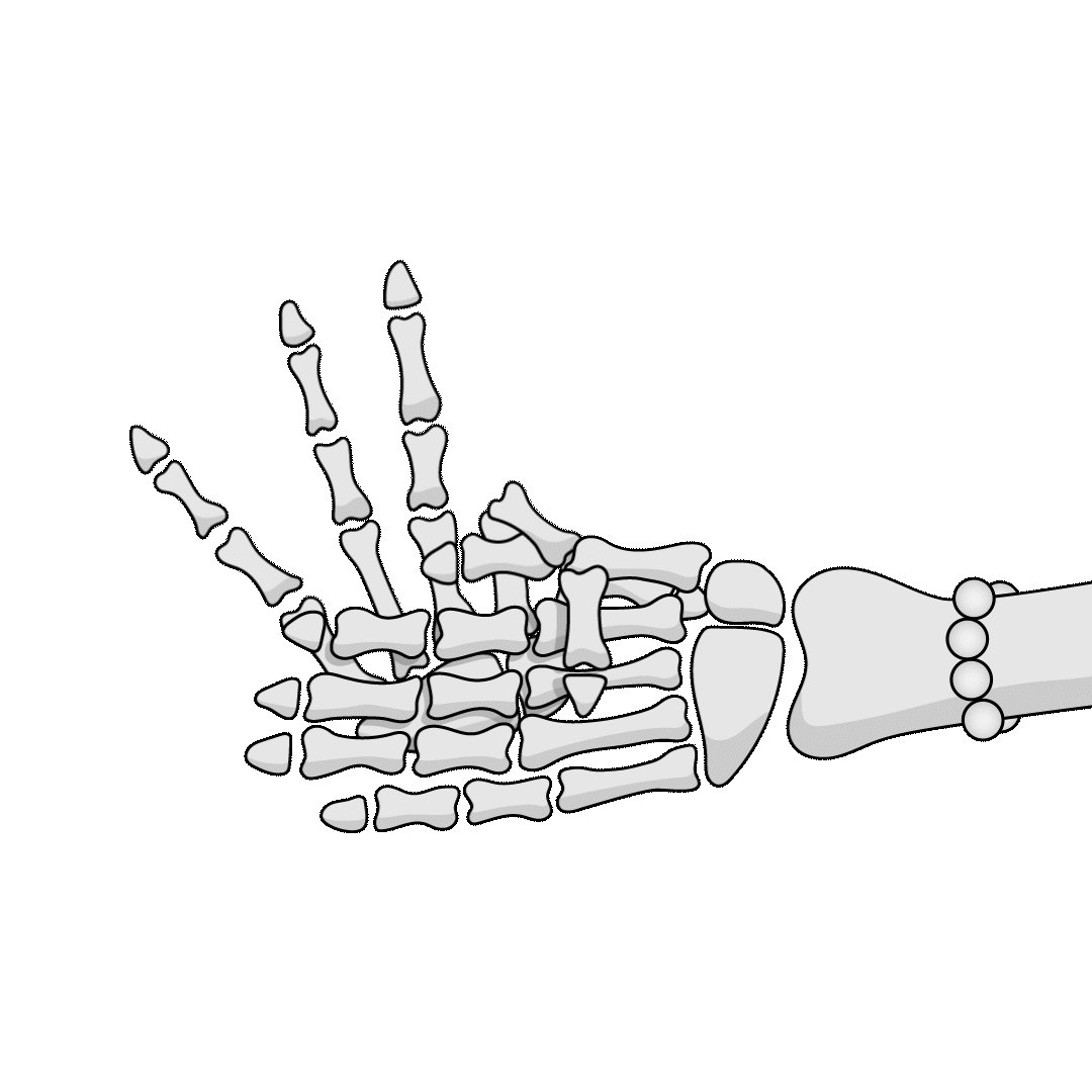 Jour 28 du motiontober - Brillant