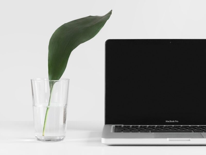 MacBook Pro beside plant in vase